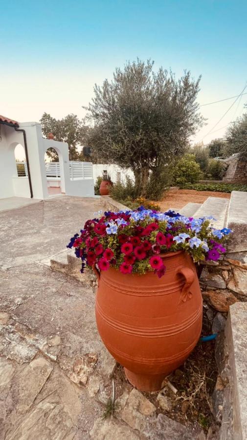 Havania Studio Ágios Nikolaos Exterior foto